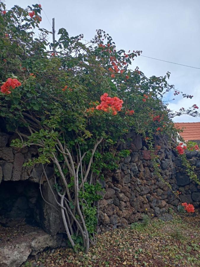 Casa De Arcos Hébergement de vacances
